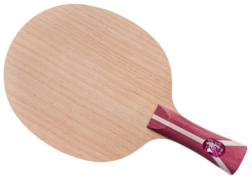 DHS Fang Bo Carbon B2X